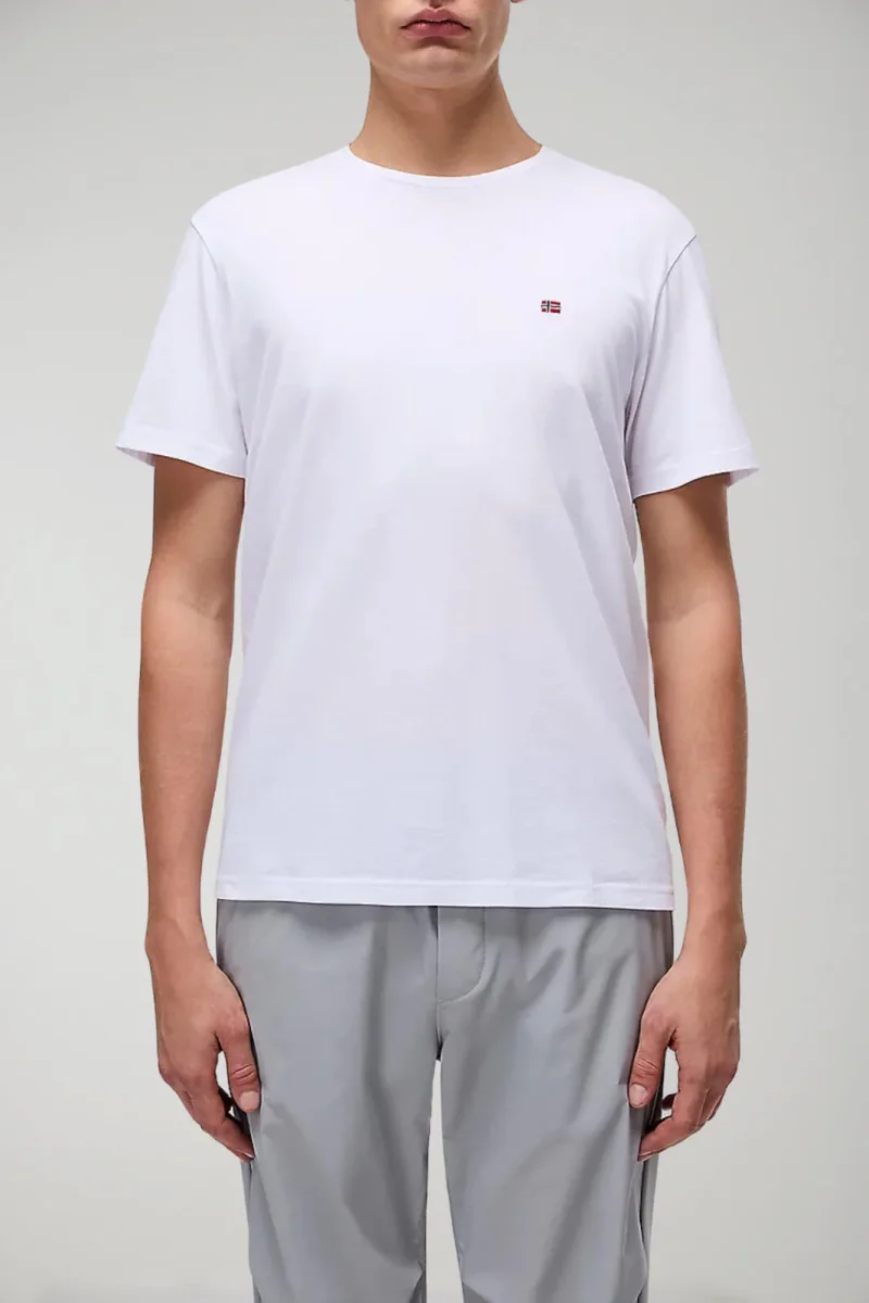Napapijri T Shirt uomo SALIS SS SUM - immagine 3